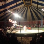 Цирк Russoli в Могилеве