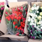 Тюльпаны на Минском рынке продают ящиками