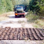 Боеприпасы на Быховщине