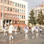 Красавицы во главе парада Красавицы во главе парада