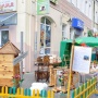 Работы лицея №9 Работы лицея №9